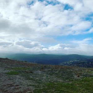 Meet your Posher, Cassie